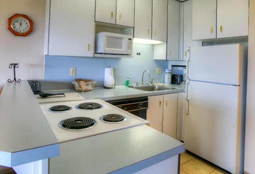 شقة غرفة واحدة مطلة على البحر, Grey Gull