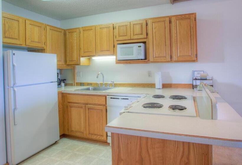 شقة غرفة واحدة مطلة على البحر, Grey Gull