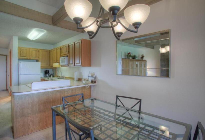 شقة غرفة واحدة مطلة على البحر, Grey Gull