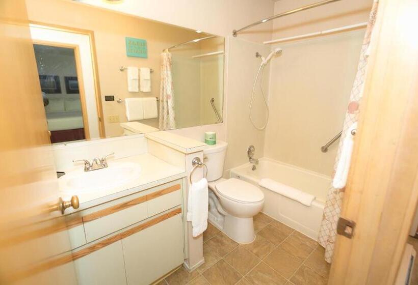 شقة غرفة واحدة مطلة على البحر, Grey Gull