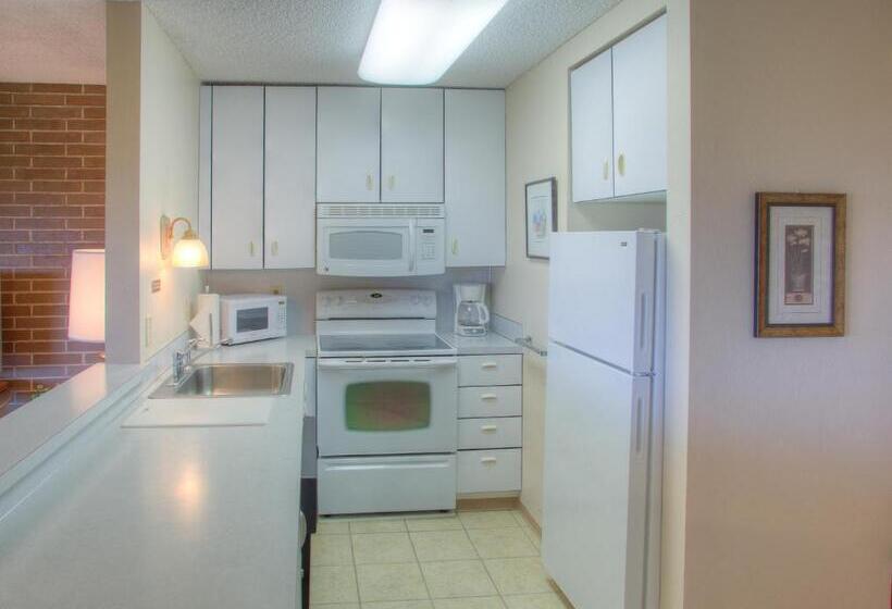 شقة ديلوكس غرفة نوم واحدة مطلة على البحر, Grey Gull