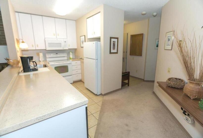 شقة ديلوكس غرفة نوم واحدة مطلة على البحر, Grey Gull