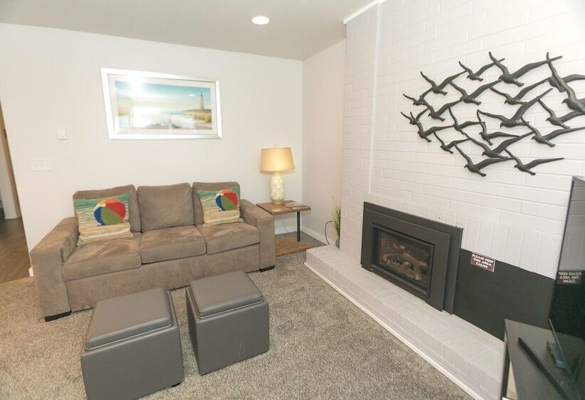 شقة غرفة واحدة, Grey Gull