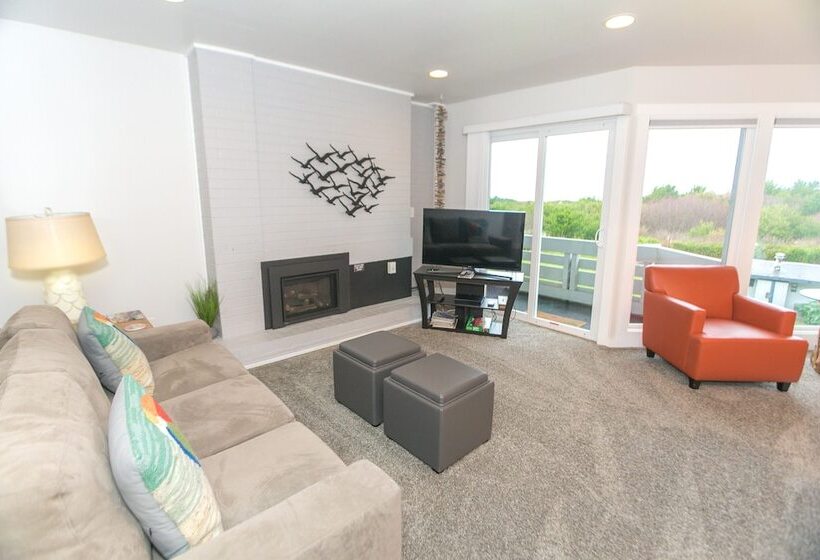 شقة غرفة واحدة, Grey Gull