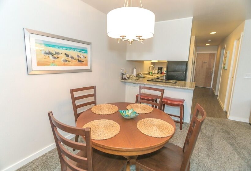 شقة غرفة واحدة, Grey Gull