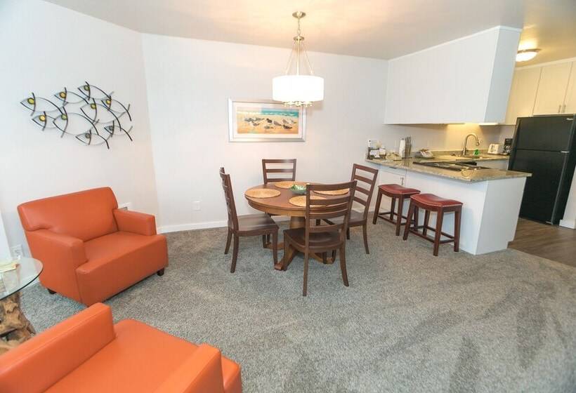 شقة غرفة واحدة, Grey Gull