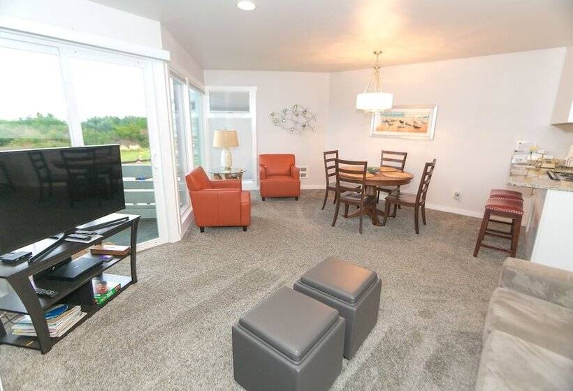 شقة غرفة واحدة, Grey Gull