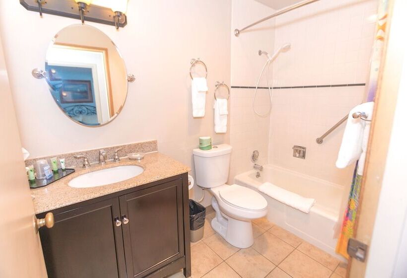 شقة غرفة واحدة مطلة على البحر, Grey Gull