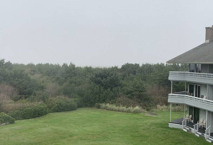 شقة غرفة واحدة مطلة على البحر, Grey Gull