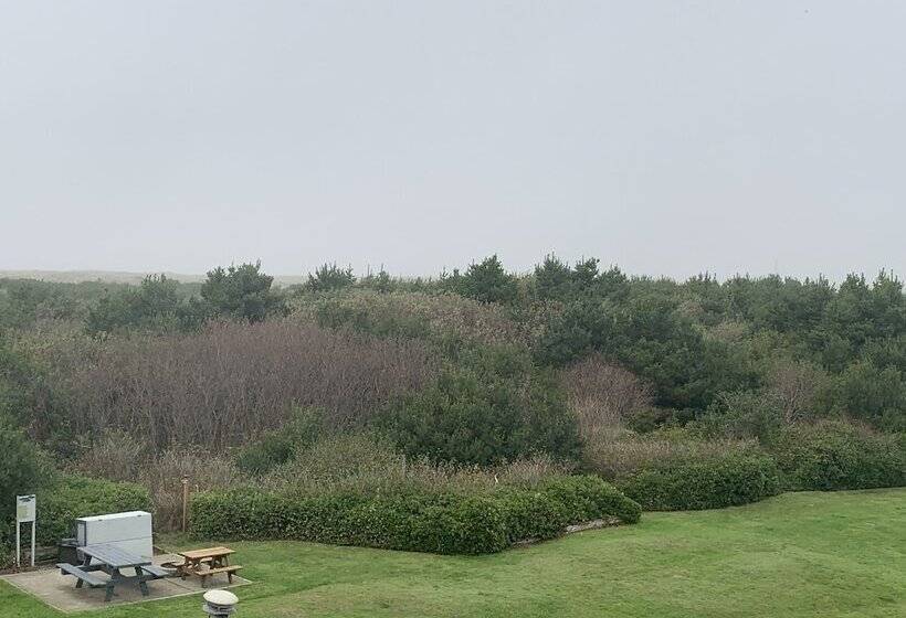 شقة غرفة واحدة مطلة على البحر, Grey Gull