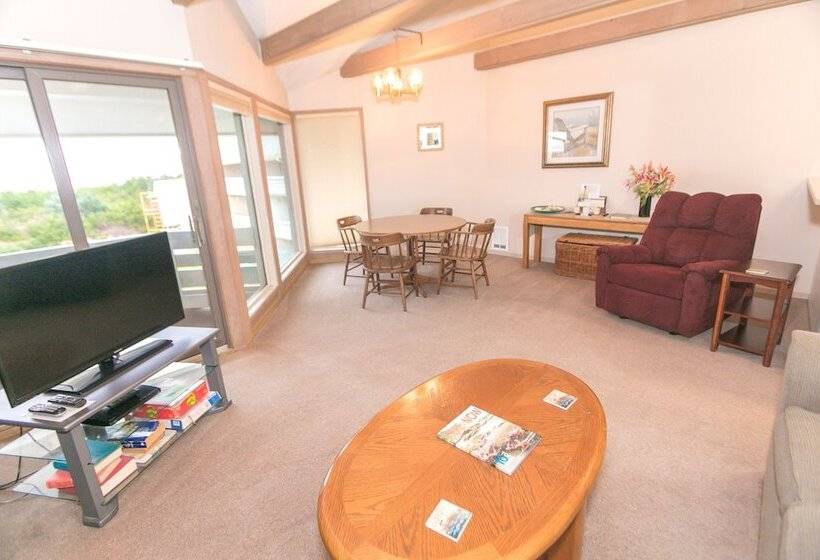 شقة غرفة واحدة مطلة على البحر, Grey Gull