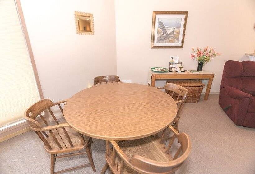 شقة غرفة واحدة مطلة على البحر, Grey Gull