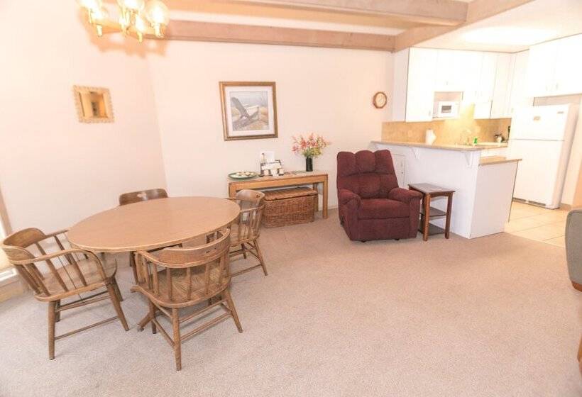 شقة غرفة واحدة مطلة على البحر, Grey Gull