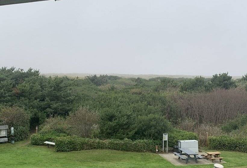 شقة غرفة واحدة مطلة على حمام السباحة, Grey Gull