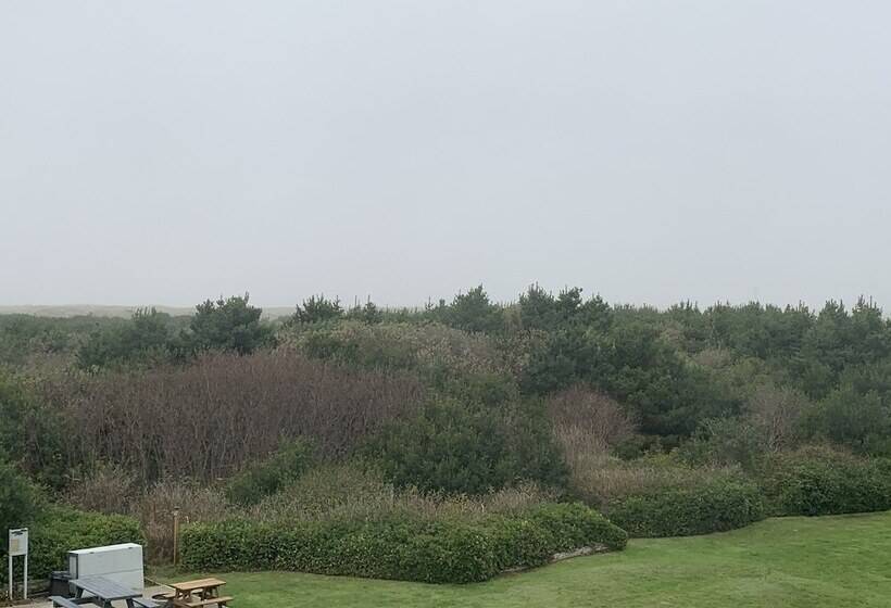 شقة ديلوكس غرفة واحدة, Grey Gull