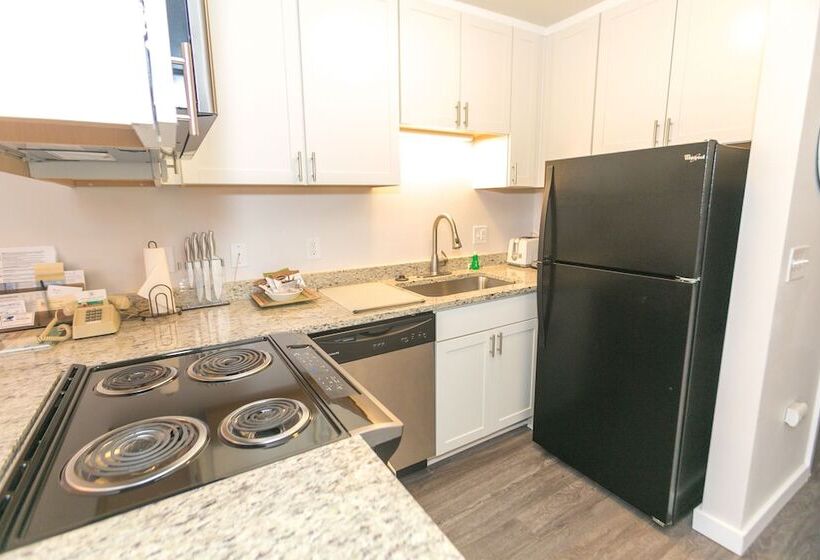 شقة غرفة واحدة, Grey Gull