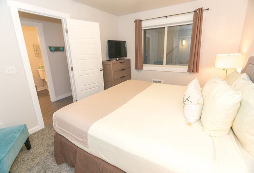 شقة غرفة واحدة, Grey Gull