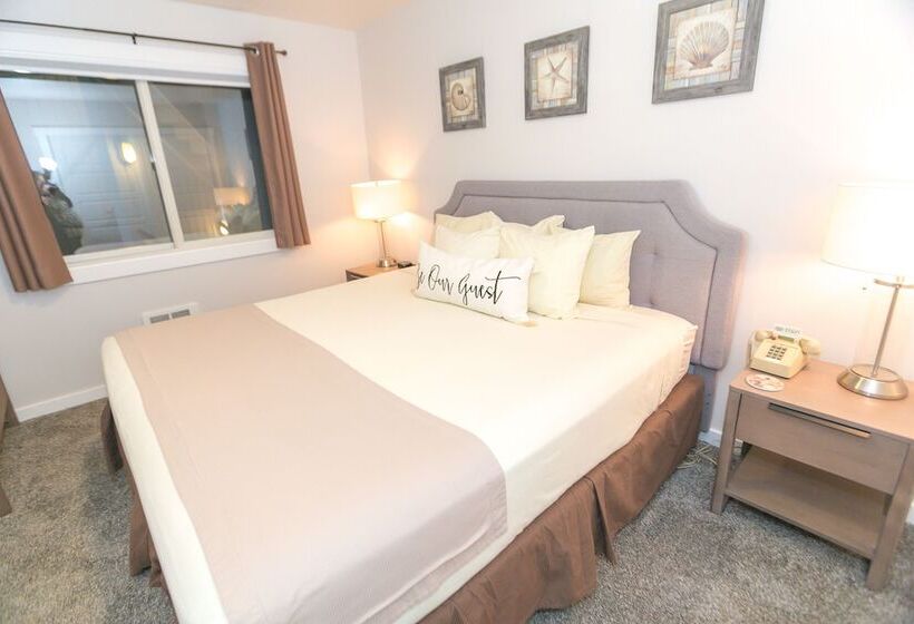 شقة غرفة واحدة, Grey Gull