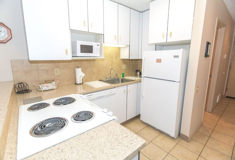 شقة غرفة واحدة مطلة على البحر, Grey Gull