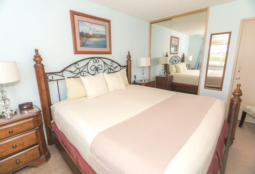 شقة غرفة واحدة مطلة على البحر, Grey Gull