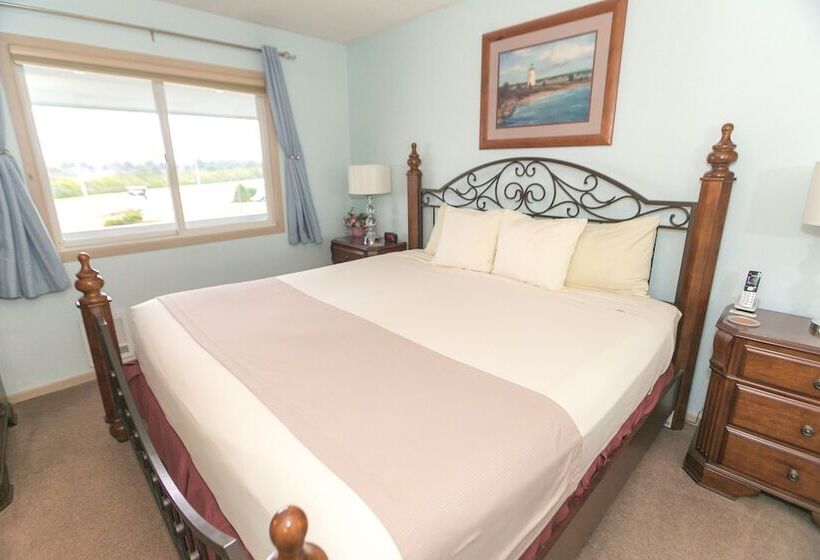 شقة غرفة واحدة مطلة على البحر, Grey Gull