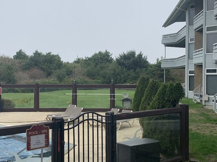 شقة غرفة واحدة مطلة على حمام السباحة, Grey Gull