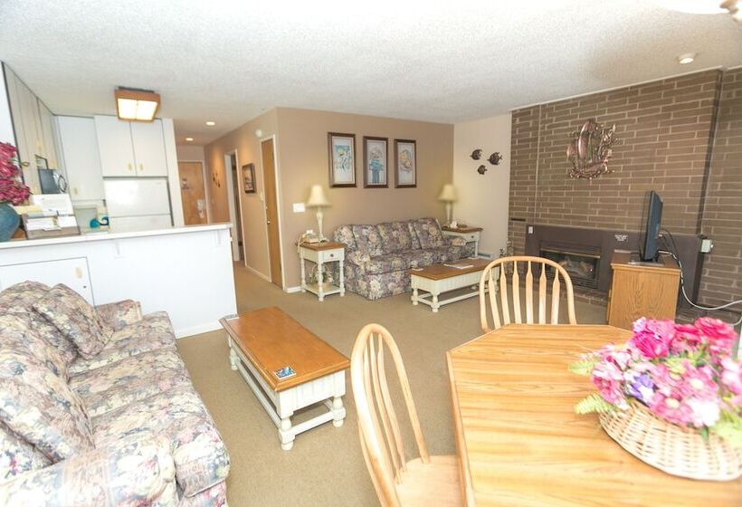 شقة غرفة واحدة مطلة على حمام السباحة, Grey Gull