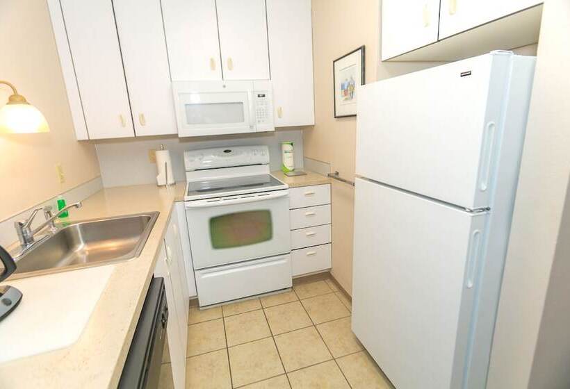 شقة ديلوكس غرفة نوم واحدة مطلة على البحر, Grey Gull