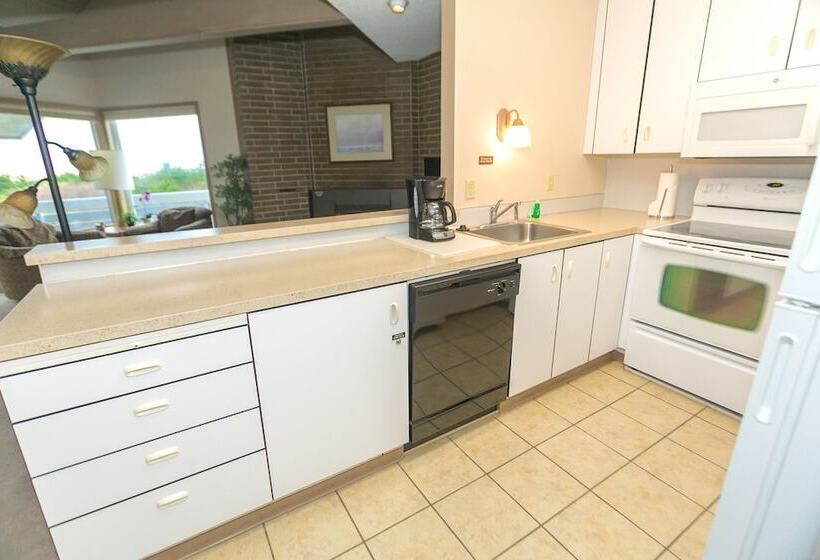 شقة ديلوكس غرفة نوم واحدة مطلة على البحر, Grey Gull