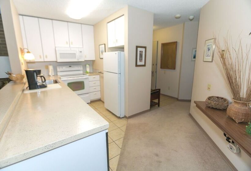 شقة ديلوكس غرفة نوم واحدة مطلة على البحر, Grey Gull