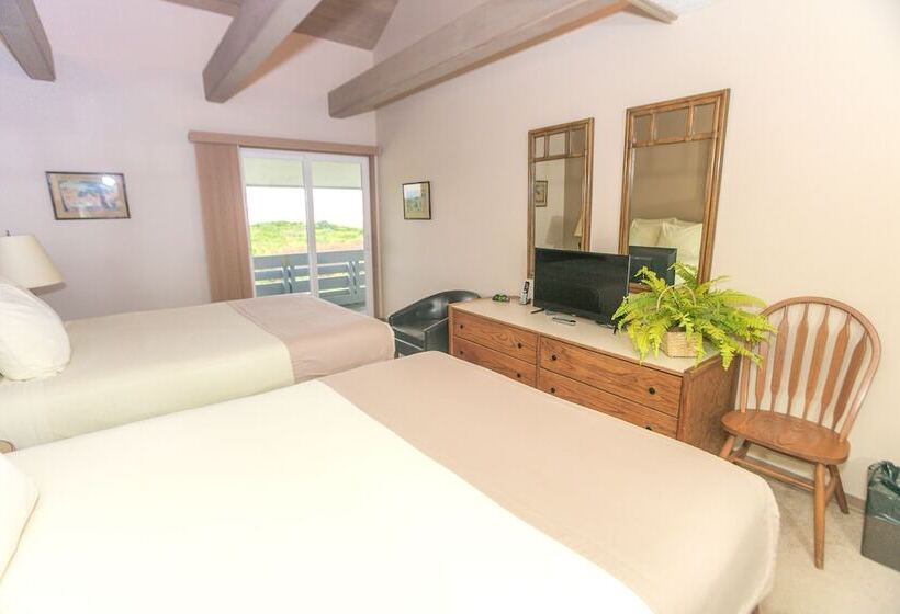 شقة ديلوكس غرفة نوم واحدة مطلة على البحر, Grey Gull