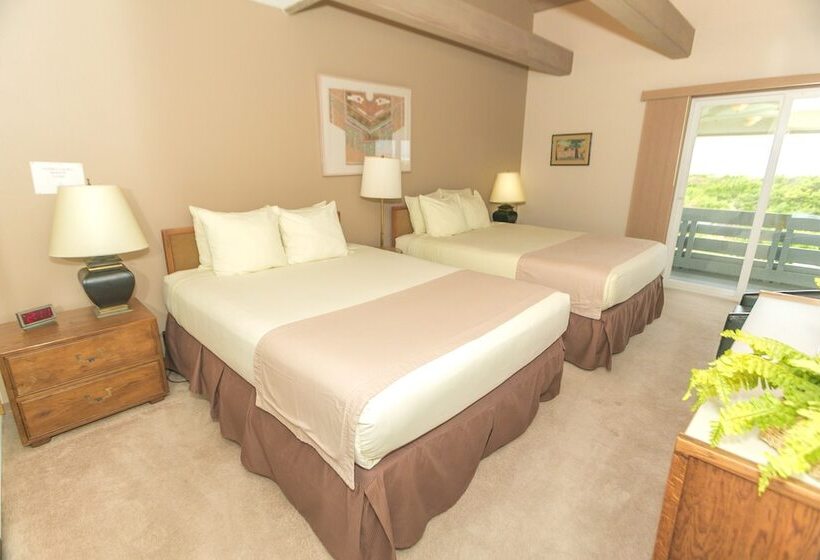 شقة ديلوكس غرفة نوم واحدة مطلة على البحر, Grey Gull