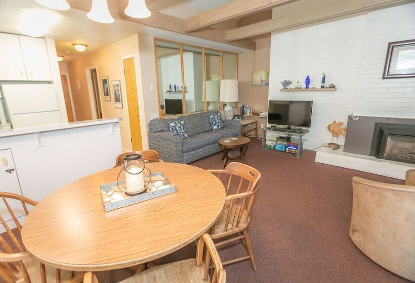 شقة غرفة واحدة مطلة على البحر, Grey Gull