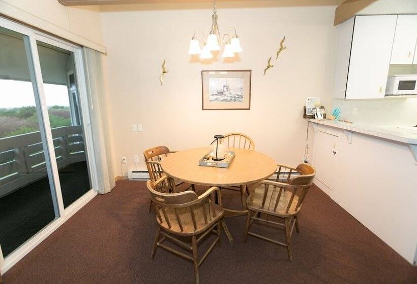 شقة غرفة واحدة مطلة على البحر, Grey Gull