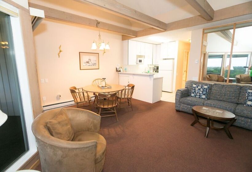 شقة غرفة واحدة مطلة على البحر, Grey Gull