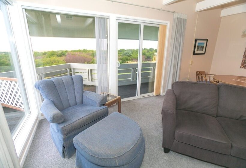 شقة ديلوكس غرفة واحدة, Grey Gull