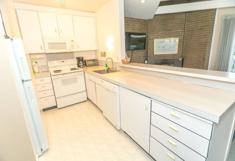 شقة ديلوكس غرفة واحدة, Grey Gull