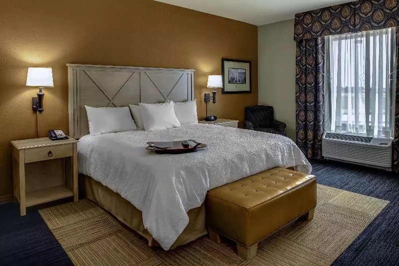 キングサイズベッドのスイートルーム, Hampton Inn & Suites Dodge City