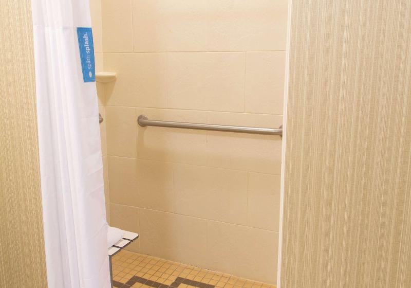 스탠다드 스튜디오 킹침대, Hampton Inn & Suites Dodge City