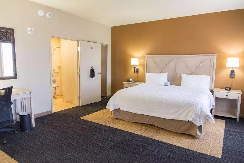 キングサイドベッドのスタンダードワンルーム, Hampton Inn & Suites Dodge City