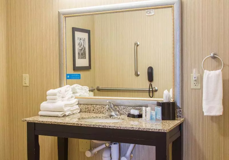 キングサイドベッドのスタンダードワンルーム, Hampton Inn & Suites Dodge City