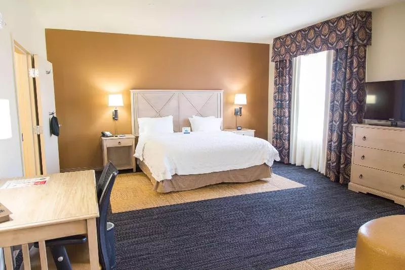 キングサイドベッドのスタンダードワンルーム, Hampton Inn & Suites Dodge City