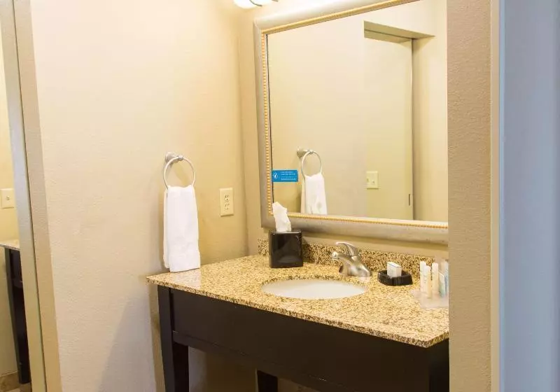 キングサイズベッドのスイートルーム, Hampton Inn & Suites Dodge City
