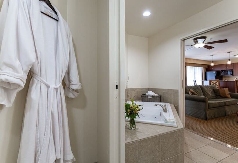 جناح لذوى الاحتياجات الخاصة, Jefferson Street Inn, A Member Of Radisson Individuals