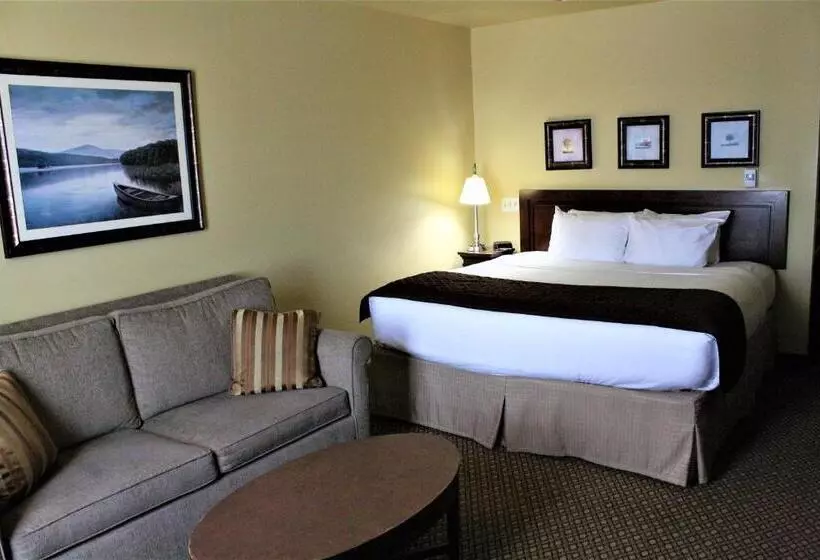 اتاق استاندارد با تخت بزرگ, Jefferson Street Inn, A Member Of Radisson Individuals