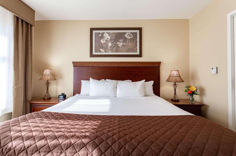 Номер Стандарт Кровать Кинг Адаптированный для Инвалидов, Jefferson Street Inn, A Member Of Radisson Individuals