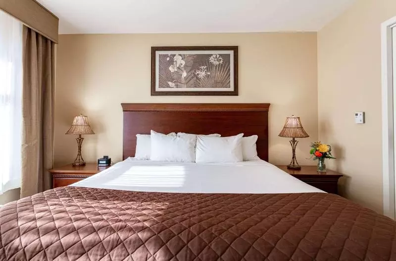 اتاق استاندارد با تخت بزرگ برای معلولان, Jefferson Street Inn, A Member Of Radisson Individuals