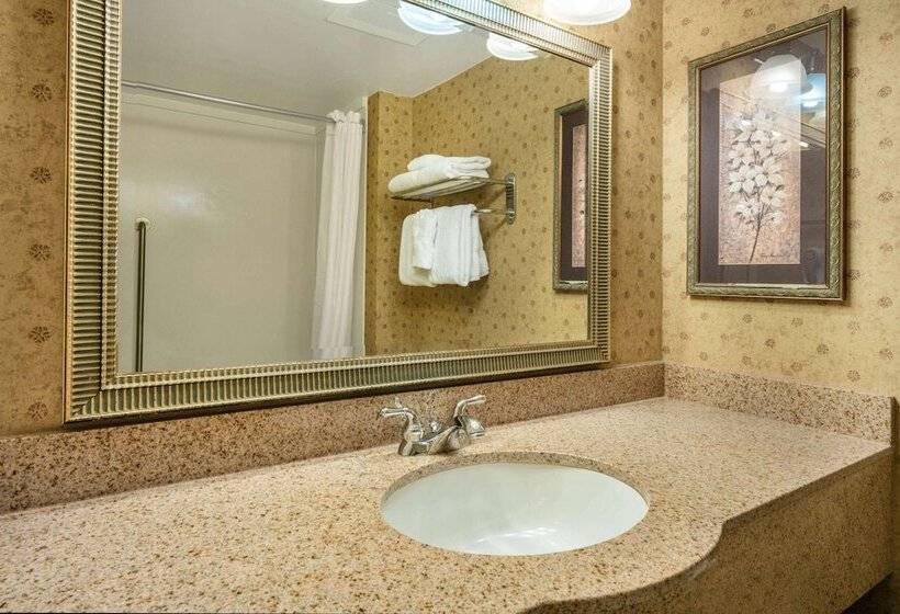 디럭스 룸, La Quinta By Wyndham Kennewick