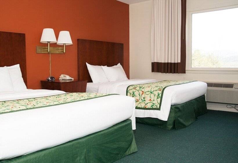 Номер Стандарт 2 Двуспальные Кровати, Red Carpet Inn And Suites Plymouth