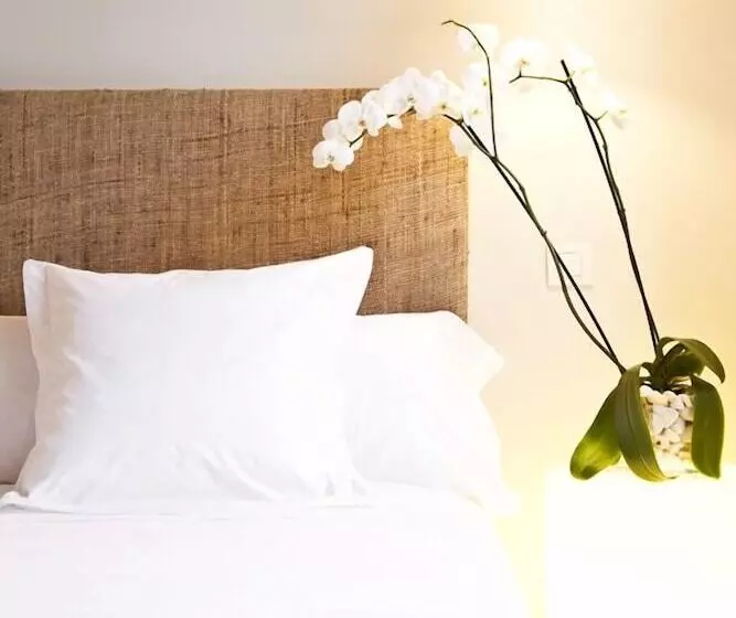 اتاق استاندارد, & Spa Ceres